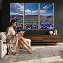 Air Force Falcons Football Team Print - Colorado Springs
