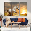 Large Wall Art Galloping White Horse at Sunset Canvas Print