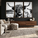 Black and White Scottish Cow Canvas Wall Art Highland Cattle