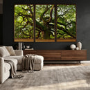 Angel Oak Tree Wall Art Canvas Print | Forest Tree Nature