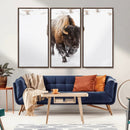Bison Winter Wall Art Canvas Print For Farmhouse Decor