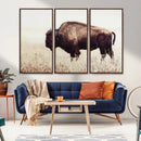 Bison in Field Wall Art Canvas Print For Farmhouse Barn