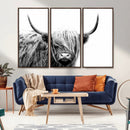 Black White Scottish Highland Cow Cattle Art Print Farmhouse