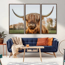 Highland Cow Animal Scottish Cattle Art Print Farmhouse Wall