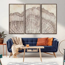 Tree Ring Wall Art Triptych, Rustic Wood Ring Canvas Print,