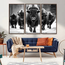 American Bison Art | Buffalo Herd Wall Art Canvas Print, BW