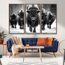 American Bison Art | Buffalo Herd Wall Art Canvas Print, BW