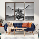 Texas Longhorn Cow Wall Art, Texas Longhorn Canvas, Cattle