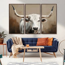 White Longhorn Bull Wall Art Canvas Print – Framed and Ready