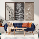 Minimalist Botanical Wall Art Canvas Print, Framed and Ready
