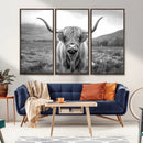 Black White Scottish Highland Cow Canvas Farm Wall Art