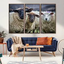 Charming Sheep Portrait Wall Art – Trio of Woolly Companions by MyGreatCanvas | Canvas Wall Art Prints | Photo Prints & Wall Decor