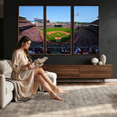 Cincinnati Reds Baseball Canvas Print - American Ball
