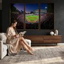 Houston Astros Baseball Print Canvas - Houston Minute Maid
