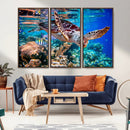Underwater Coral Reef Sea Turtle Wall Art Canvas Print,