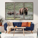 Wildlife Photography of 399 Grizzly Bear Cubs | Queen of the