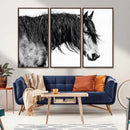 Black Horse Wall Art Canvas Print – Elegant Farmhouse Decor