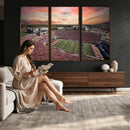 Indiana Memorial Stadium Wall Art Canvas Print, Framed