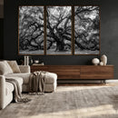 Black and White Old Angel Oak Tree Wall Art Canvas Print