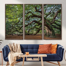 Historic Tree Wall Art – Framed Mossy Branch Canvas Artwork, by MyGreatCanvas | Canvas Wall Art Prints | Photo Prints & Wall Decor