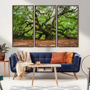 Majestic Oak Tree Wall Art Canvas Print – Ancient Branches by MyGreatCanvas | Canvas Wall Art Prints | Photo Prints & Wall Decor