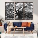Ancient Oak Wall Art Canvas Print – Gnarled Tree Twisted