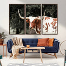 Texas Longhorn Wall Art Canvas Print – Framed Spotted Bull
