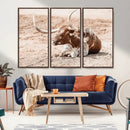 Texas Longhorn Wall Art – Framed Resting Bull Canvas by MyGreatCanvas | Canvas Wall Art Prints | Photo Prints & Wall Decor