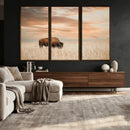 MyCanvas -