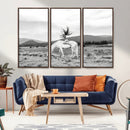 White Horse Wall Art Canvas Print – Framed Woman Rider