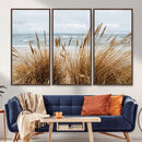Beach Grass Wall Art – Framed Coastal Dunes Canvas Artwork, by MyGreatCanvas | Canvas Wall Art Prints | Photo Prints & Wall Decor