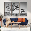 Joshua Tree Wall Art Canvas Print – Framed Monochrome Desert