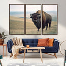 Bison Wall Art Canvas Print – Framed Buffalo American Bison