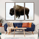 Bison Wall Art Canvas Print – Framed Western Wildlife by MyGreatCanvas | Canvas Wall Art Prints | Photo Prints & Wall Decor