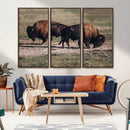 Bison Wall Art Canvas Print – Framed Western Wildlife Modern by MyGreatCanvas | Canvas Wall Art Prints | Photo Prints & Wall Decor