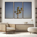 Joshua Tree Wall Art Canvas Print – Framed Southwestern