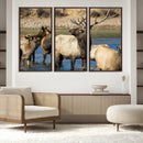 Wild Elk Wall Art Canvas Print – Framed Neutral Wildlife