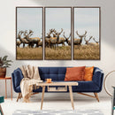 Elk Herd Wall Art Canvas Print – Framed Wildlife Photography