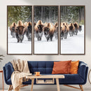 Bison Herd Scene Wall Art Canvas Print – Framed Western by MyGreatCanvas | Canvas Wall Art Prints | Photo Prints & Wall Decor