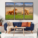Texas Longhorn Pair Wall Art Canvas Print – Peaceful Rustic by MyGreatCanvas | Canvas Wall Art Prints | Photo Prints & Wall Decor