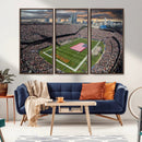 Chicago Bears Soldiers Field Wall Art Canvas Print – Framed