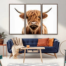 Scottish Highland Cow Canvas Print, Framed Highland Cow