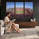 William Brice Stadium Wall Art Canvas Print – Stadium Crowd