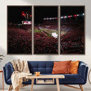 William Brice Stadium Wall Art Print – Baseball Game Room by MyGreatCanvas | Canvas Wall Art Prints | Photo Prints & Wall Decor