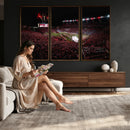 William Brice Stadium Wall Art Print – Baseball Game Room