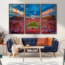 Tennessee Neyland Stadium Wall Art, Sports Arena Canvas by MyGreatCanvas | Canvas Wall Art Prints | Photo Prints & Wall Decor