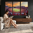 Dooley Stadium Wall Art, Sports Arena Canvas Print, Dooley