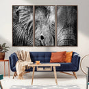Wild Old Elephant Wall Art Canvas Print
