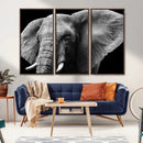 Big Elephant Close Up Wall Art Canvas Print