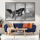 Wild Horses Wall Art Canvas Print – Framed Black and White